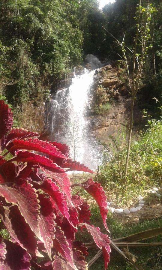 Pousada Aguas Da Mata Brejetuba Εξωτερικό φωτογραφία
